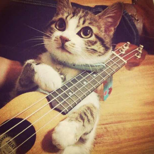 按摩XX╳xX日本╳XXX
